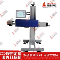 Fiber laser engraving apparatus cum computatrum